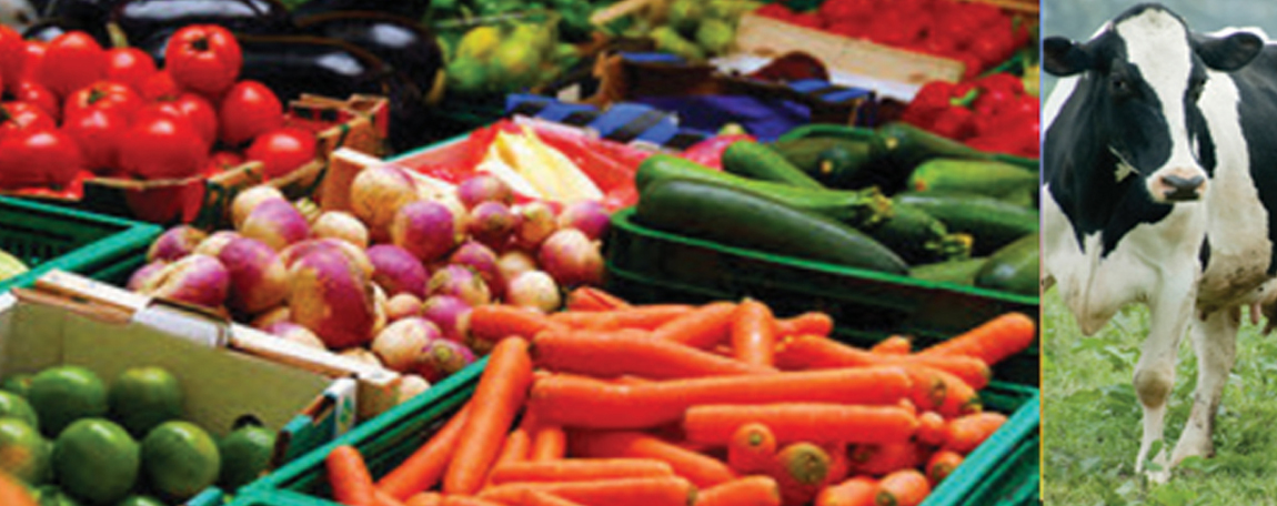 agro-processing4 agro-processing4