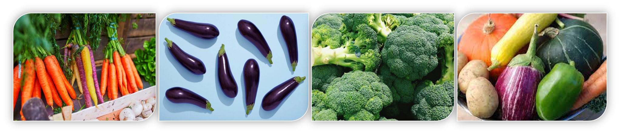 vegetable_report