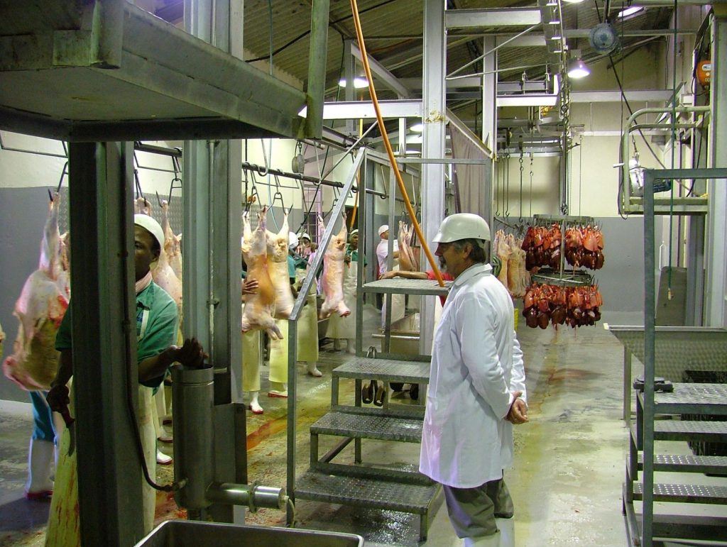 Abattoir Inspection