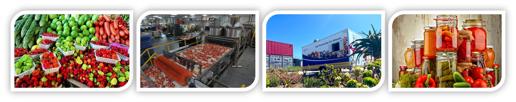 agri-processing_1 agri-processing_1