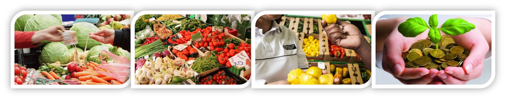 marketing_agribusiness
