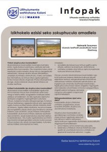 Izikhokelo ezisisi seko zokuphucula amadlelo