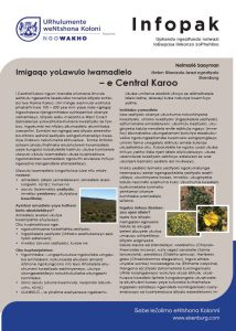 Imigaqo yoLawulo lwamadlelo – e Central Karoo