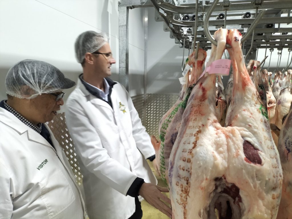 Hendri Truter showing Minister Meyer lamb carcasses