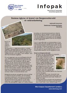 Infopak: Brand van Bergrenosterveld