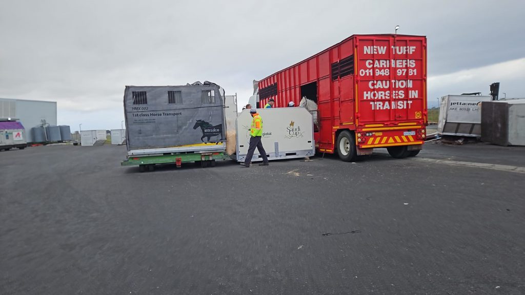 Great care being taken as horses are loaded