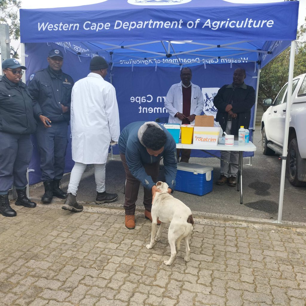 State veterinarian Dr Noluvuyo Magadla welcomes a patient to the rabies vaccination facility