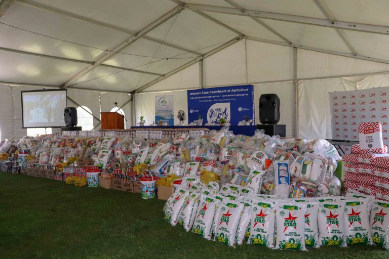 Mountain of donated food