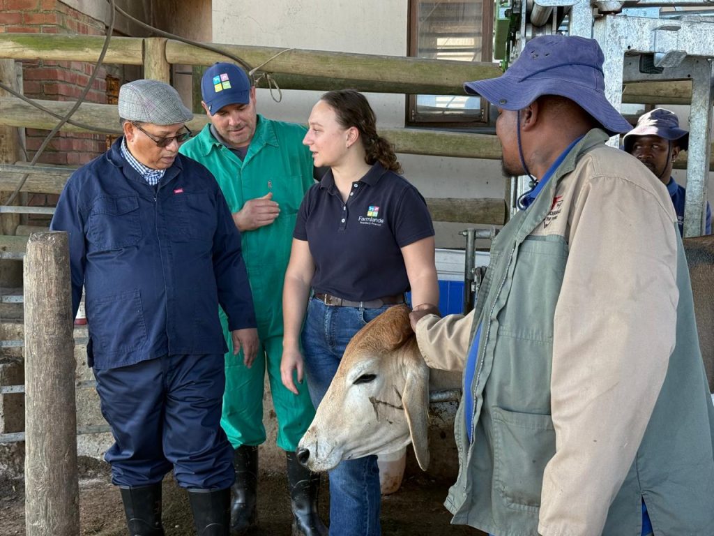Western Cape Minister of Agriculture, Economic Development and Tourism, Dr Ivan Meyer (left), engages with Ms Leana Eksteen, Junior Farm Manager at Braams Voerkrale, and Dr Cilliers Louw, Private Veterinarian, during a visit to the feedlot. The visit formed part of ongoing efforts to strengthen biosecurity measures and support livestock producers in the province's response to Foot-and-Mouth Disease (FMD).