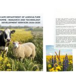 Latest research booklet published: Research and Technology Development Services – 2024/2025