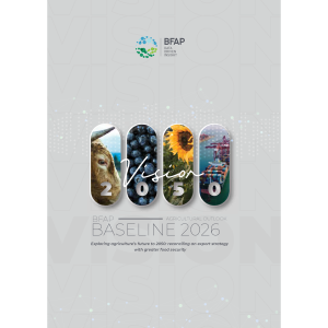 BFAP – Agricultural Outlook – Baseline 2026