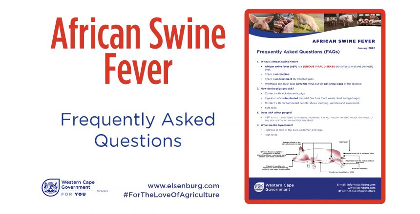 AfricanSwineFever-FAQ