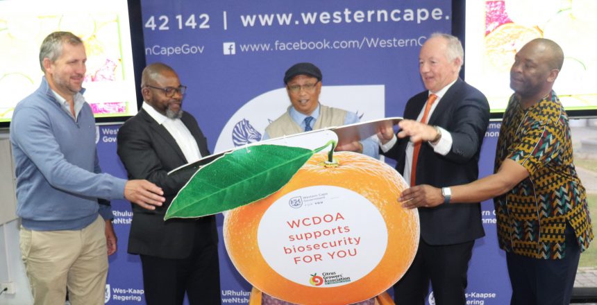 Photo – Left to right. Gerrit van der Merwe: Chairperson of the Citrus Growers Board Dr Mogale Sebopetsa: Head of Department: Western Cape Department of Agriculture Dr Ivan Meyer - Western Cape Provincial Minister of Agriculture, Justin Chadwick: CEO, Citrus Growers Association Lukhanyo Nkombisa: General Manager, CGA Grower Development Company.