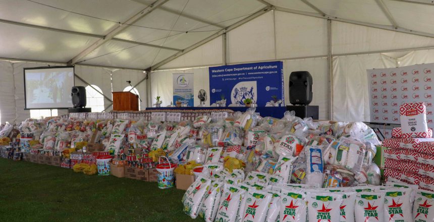 Mountain of donated food