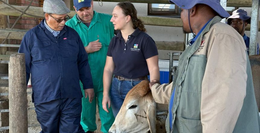 Western Cape Minister of Agriculture, Economic Development and Tourism, Dr Ivan Meyer (left), engages with Ms Leana Eksteen, Junior Farm Manager at Braams Voerkrale, and Dr Cilliers Louw, Private Veterinarian, during a visit to the feedlot. The visit formed part of ongoing efforts to strengthen biosecurity measures and support livestock producers in the province's response to Foot-and-Mouth Disease (FMD).