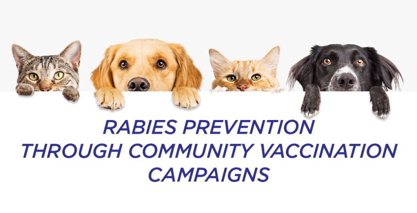 Rabies Awareness