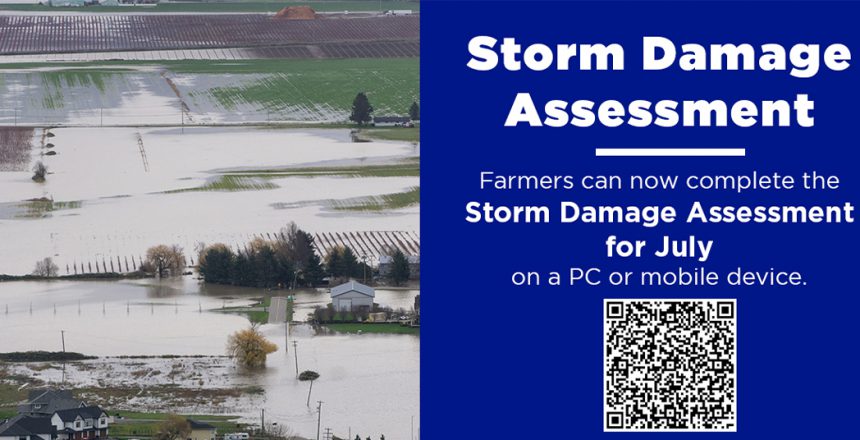 Storm Damage Assessment