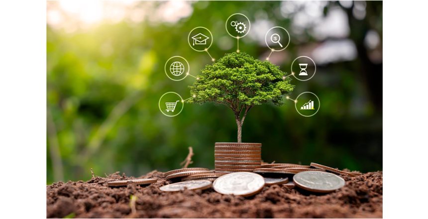 business growth