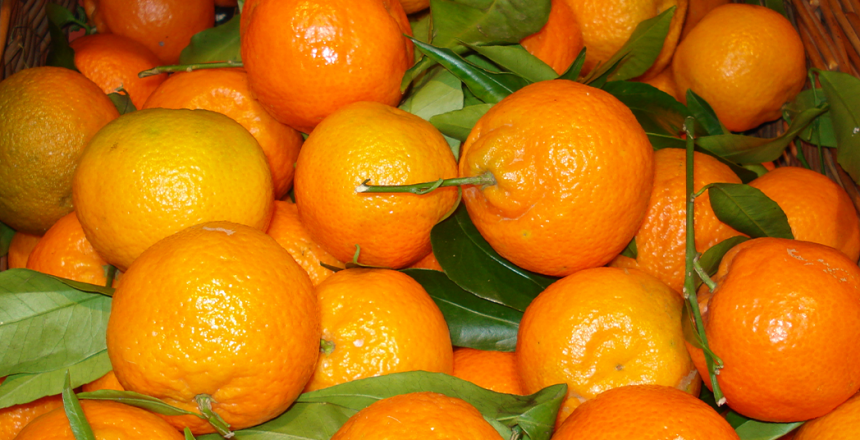 citrus