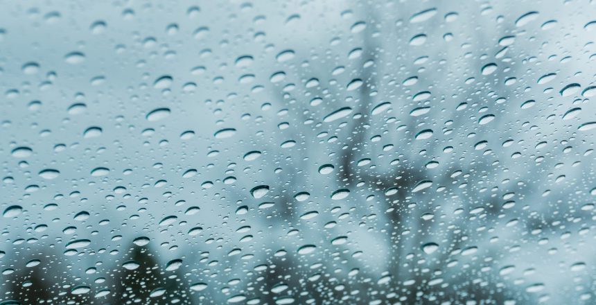 Drops of rain on the window; blurred trees in the background; shallow depth of field