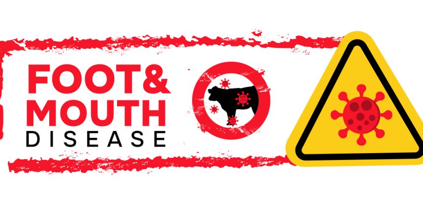 foot and mouth disease