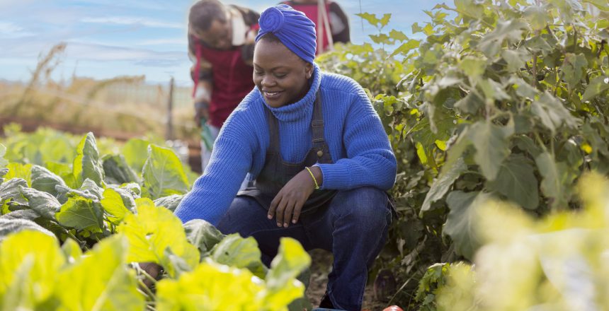 group of African people taking care of an ecological garden